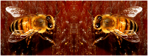 Sherlock Holmes and the bees